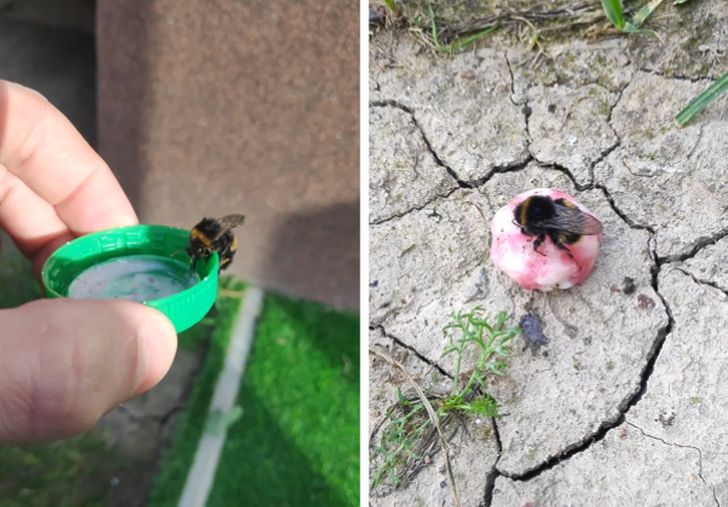 3bbfd55748ae8f512a5b677113