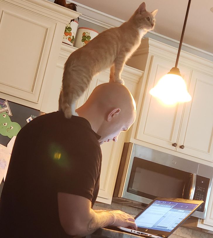 3bcc735b998369f67d225c9327