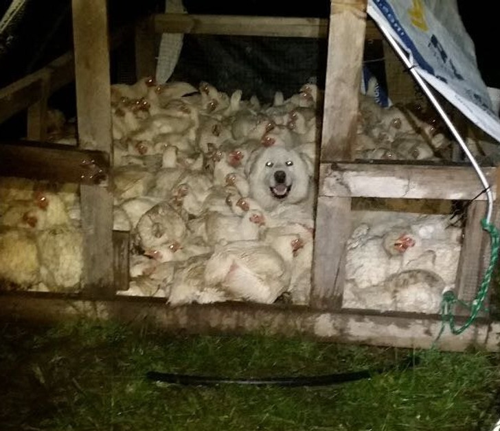 3bd03c55669a23f5e4f7a708b9 3bd03c55669a23f5e4f7a708b9