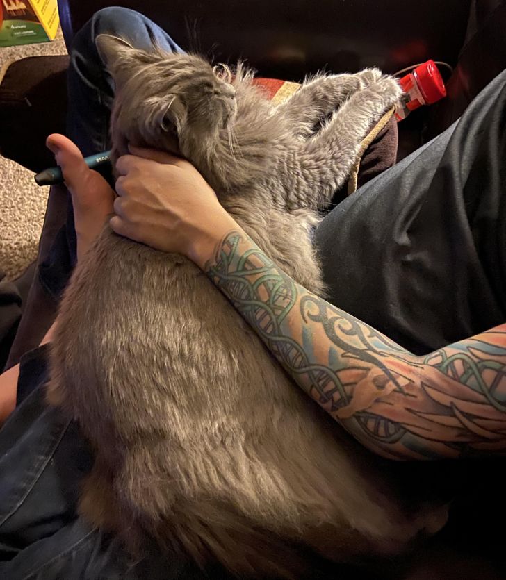 3bd1625c968603cdb746510daf