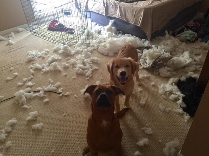 3bd2d451e4b7452c85305b1561