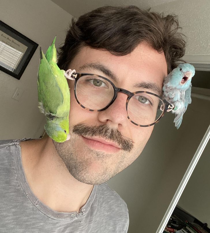 3bf26f5772b043a1cf634c6ee3