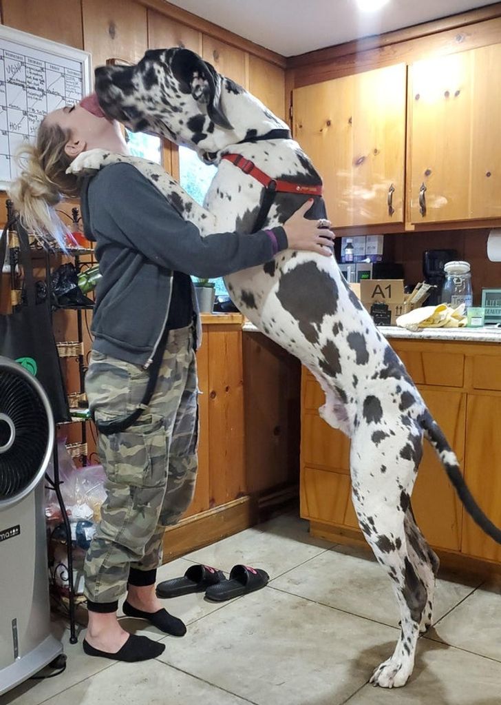 3bf2895cd28c3f60c23961a95f