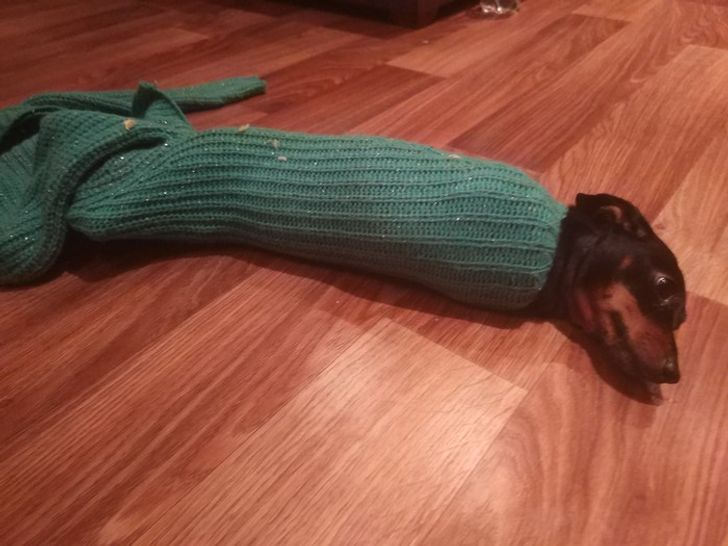 3bf4855adb9f17d1226d5158a2