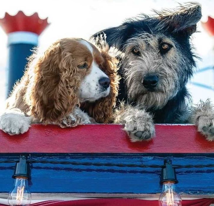 3bf9775cc1ac7b0d35da4c8e64