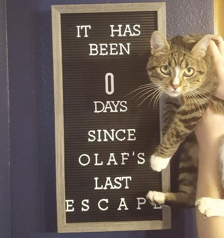 3bfbef54f19b2b42bbf96b0e62