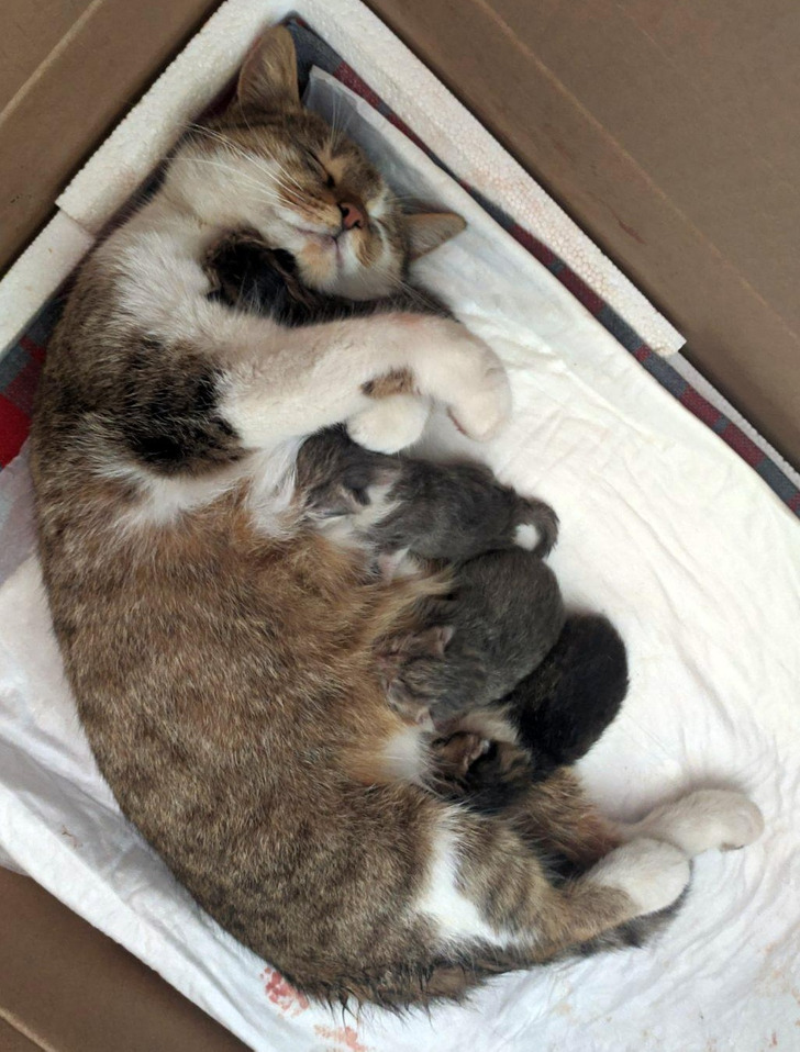 3c014c5eb9b1262219f2de752f