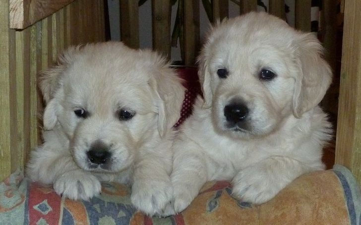 3c0c835cc49f1a484175c3f00d