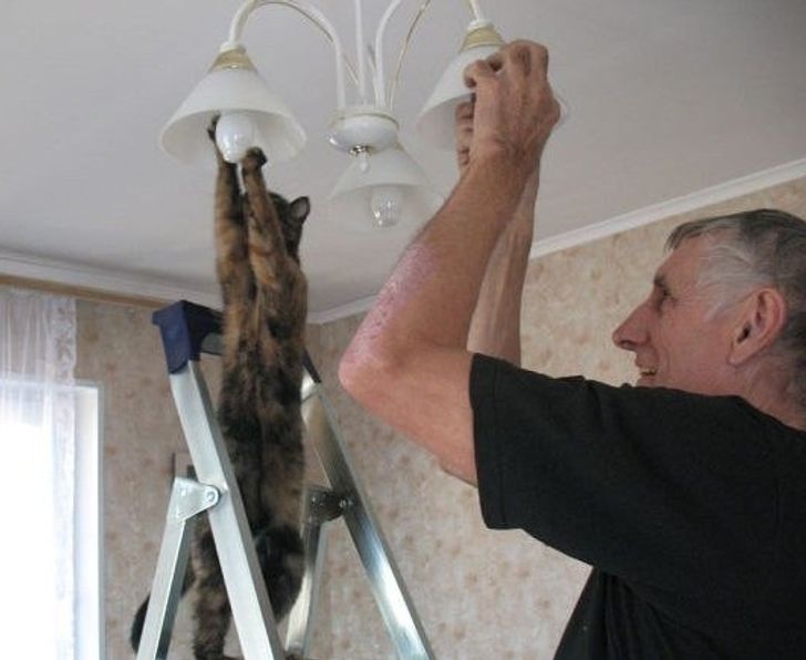 3c0f0851248f04556a112cc6bf