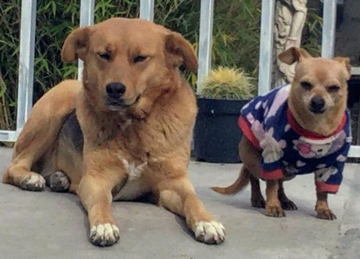 3c0f2e51f1b3d7c84e49abe3bf