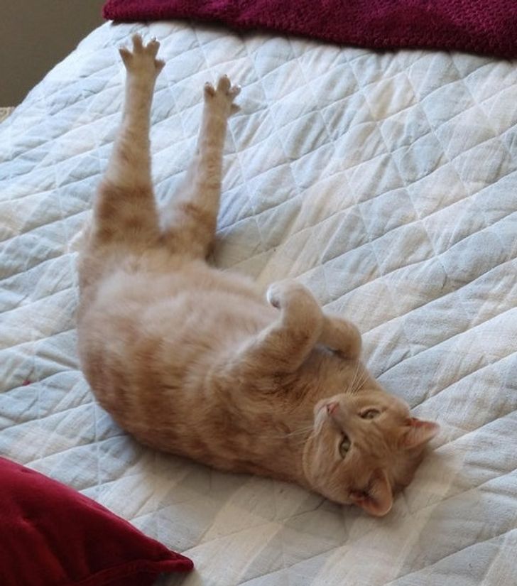 3c1527523b86206cef5d7a9f71