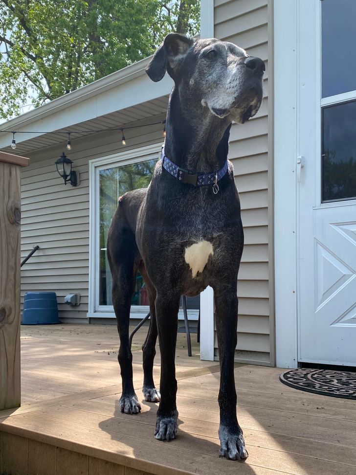 3c18ac53e18ee657e72b3c6c81