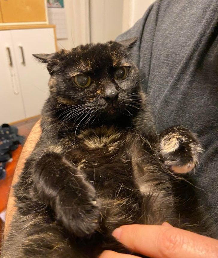 3c19635a5faba4f1197e364721