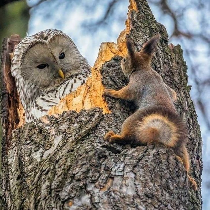 3c27ac5ead8e346faaceb3d306