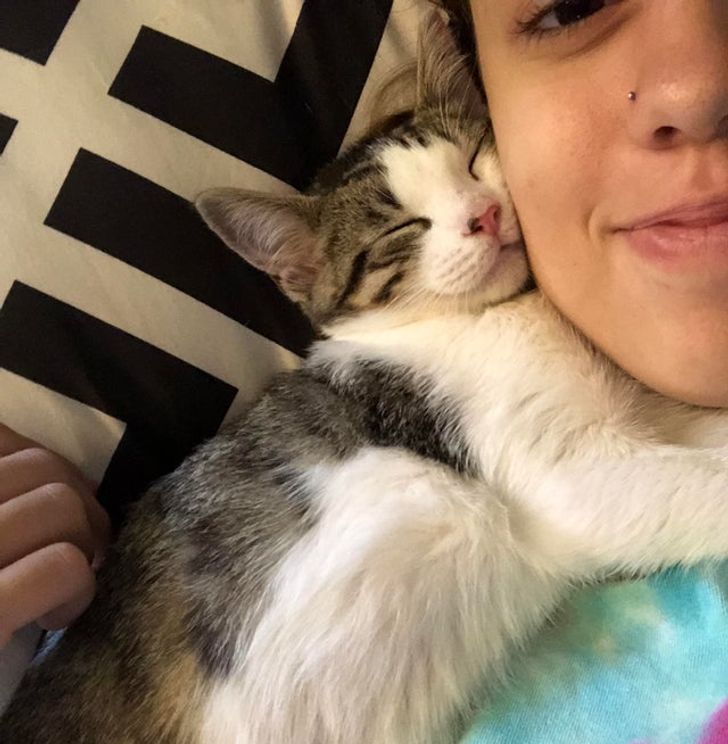 3c290c570fa506bd02853d27a4