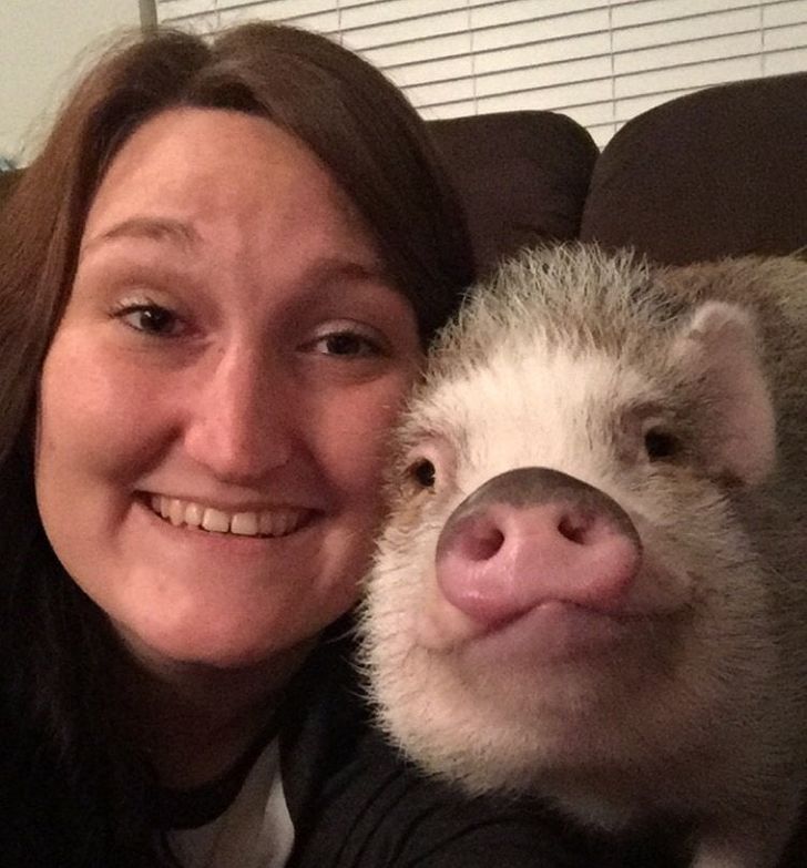 3c2a4b559da6946711edd8a33b