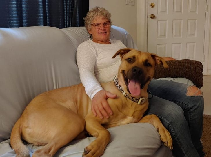 3c37af512ea425231239f61c65