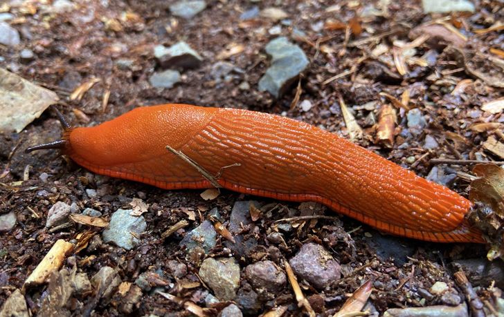 3c3a1b5278a2a8bcd12fa61b5c