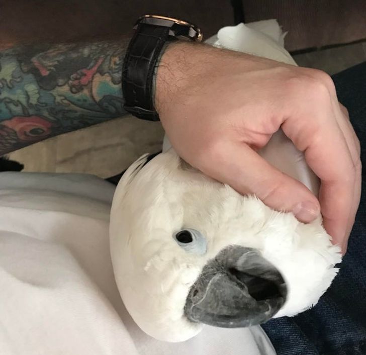 3c3e235e25a4e94fc0dd29b209