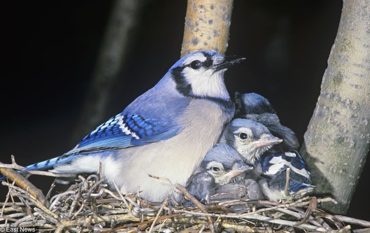 3c3e445b9db8c6f36a79da87dc