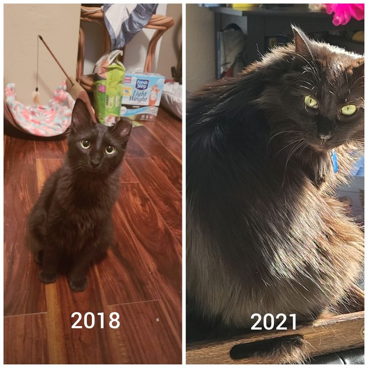 3c42765365a0f3706f61d94486