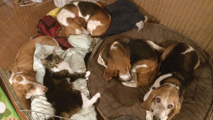 3c518251b5b3a9bc60f97c9ed5