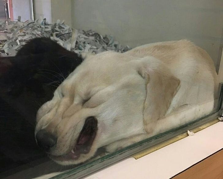 3c51875792a2e672889cf90b5b