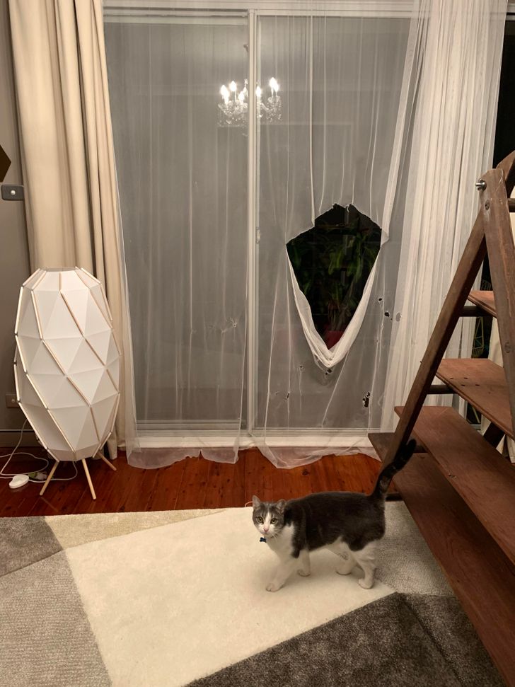 3c590b5a88ba8e284899238937