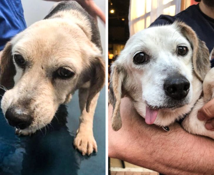 3c59c451109461c2119b770b48