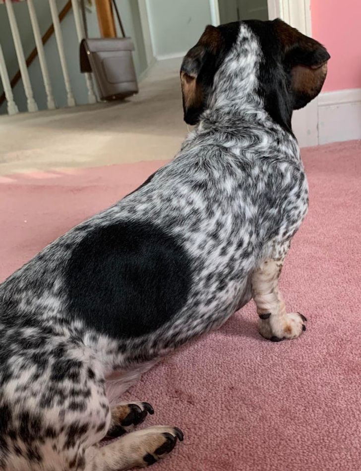 3c5ebb5d6b993c704254021e10