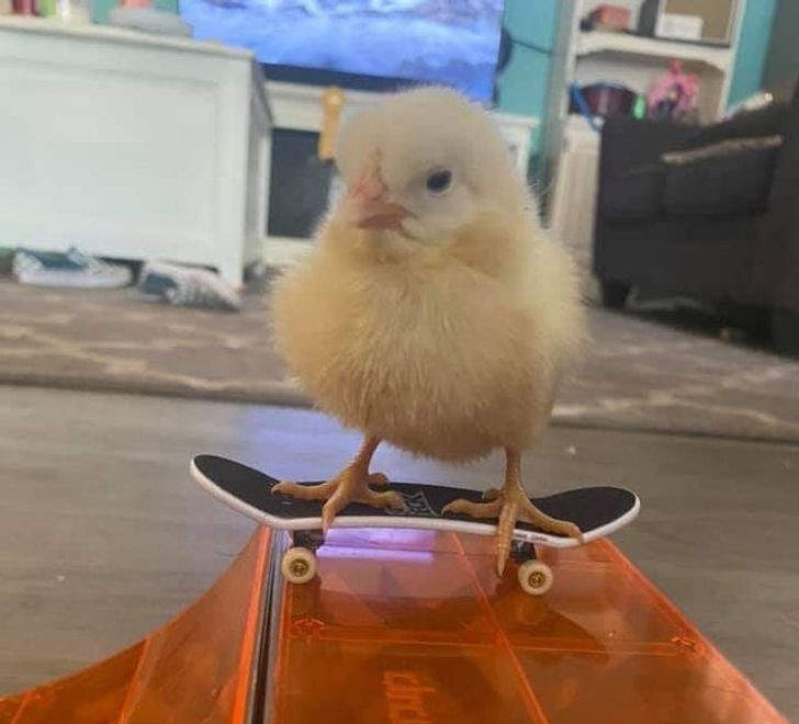 3c5f6350b6a85c05bd31f2872b