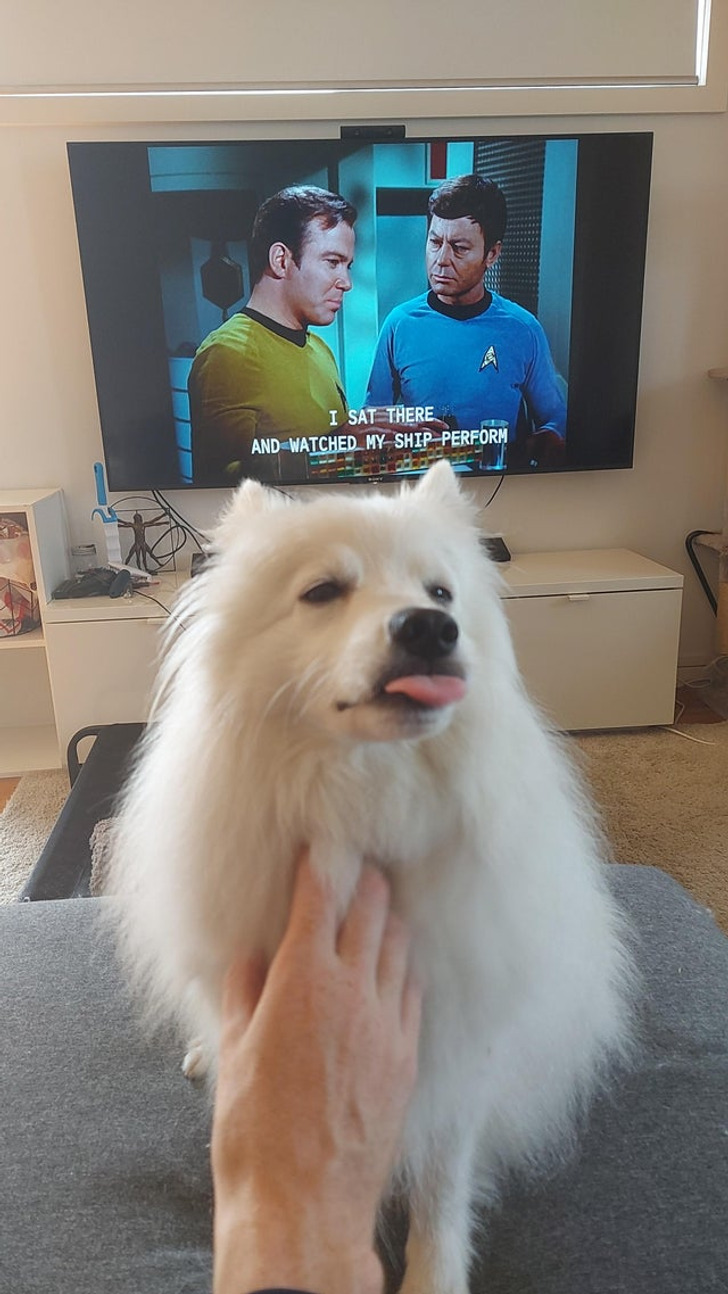 3c65a55bafa3b3c7ddd6310562