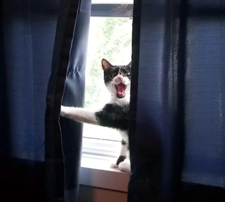 3c767451e180262fc196ff021b 3c767451e180262fc196ff021b