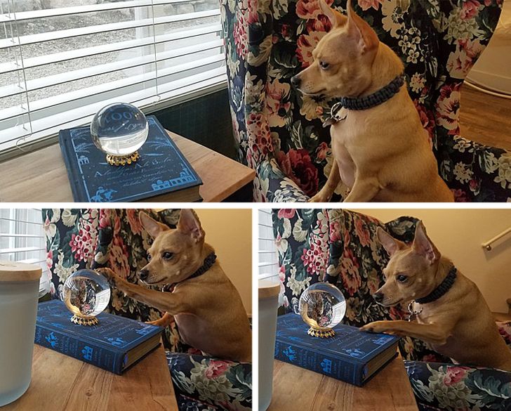 3c796f5f448f48d230d4a65cf4