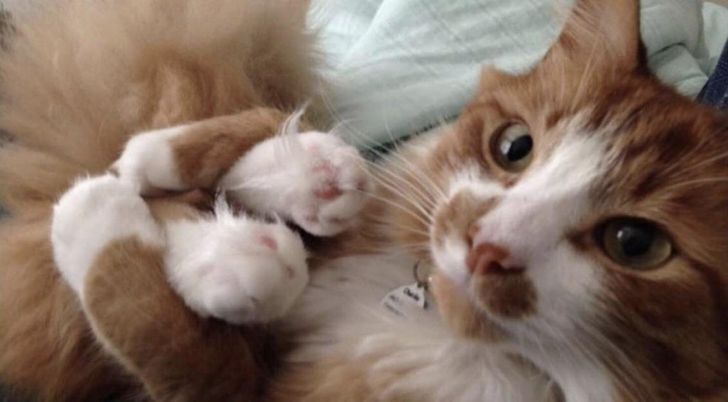 3c815450cead1d83f7a875e95f