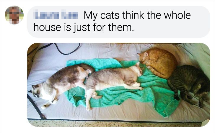 3c85fe5c21a09b2e2cb285c40f