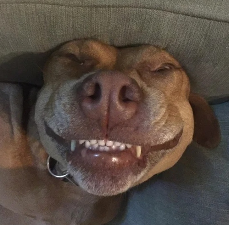 3c90b0538aaa16b8afdbeccfc2