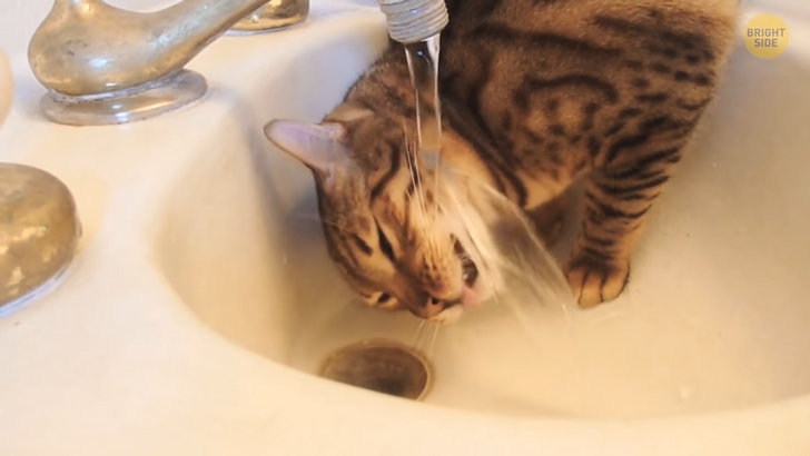 3c99615e538fd1dda2fdcf2800