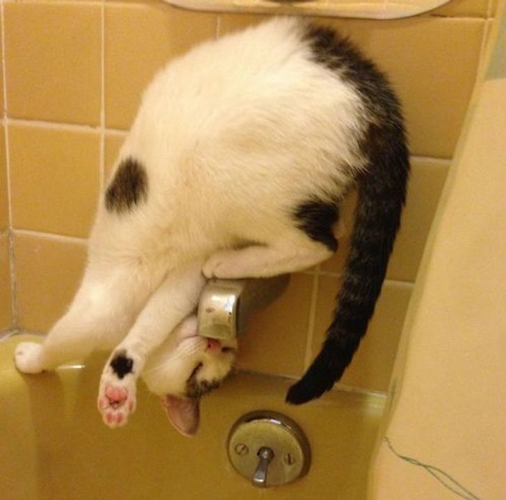 3c99825f1fa1a30cb693dff197