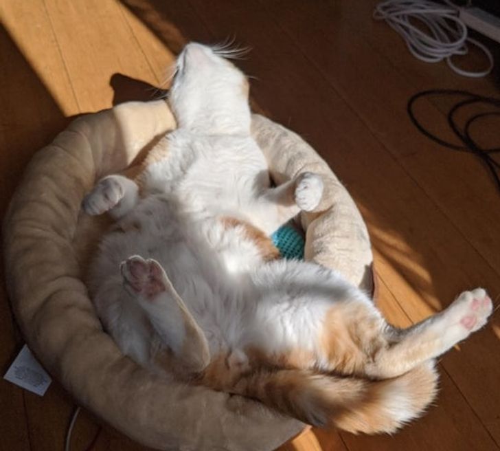 3c99965aa690db399adf62627d 3c99965aa690db399adf62627d