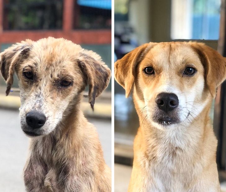 3ca07f5c54a2314840f6a2e442