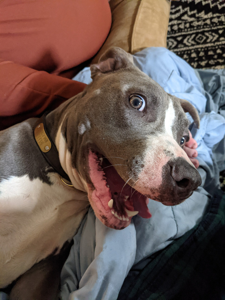 3ca2e05535a482fc6dd9480903