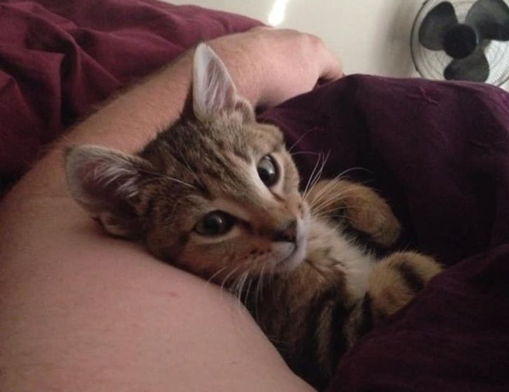 3ca3ef507595be7623a6a8d128