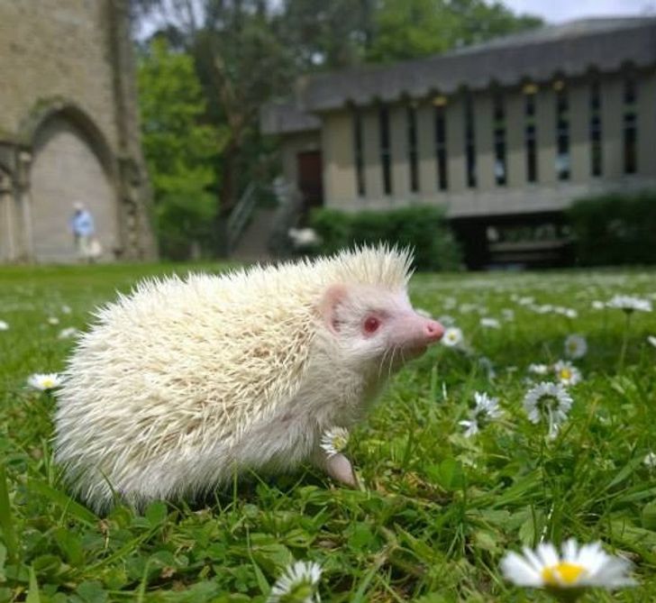 3ca94053b8beb0db9745520daf