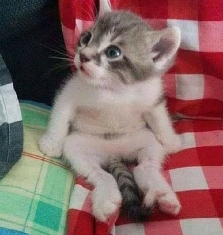 3caf5e5e4a9b038c2fee0c34bc