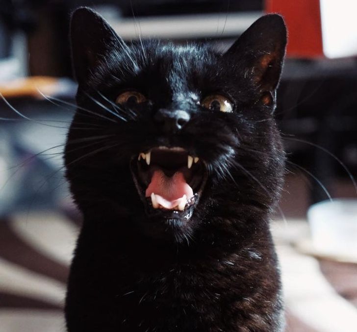 3caf615938971978771097d1ca