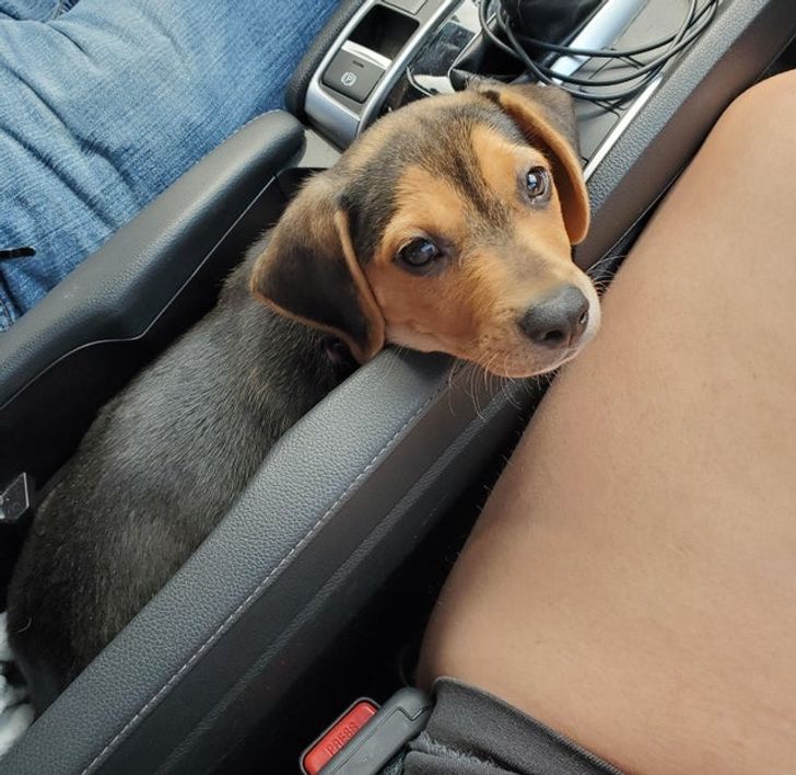 3cbbc553b7a92fbdabba228362