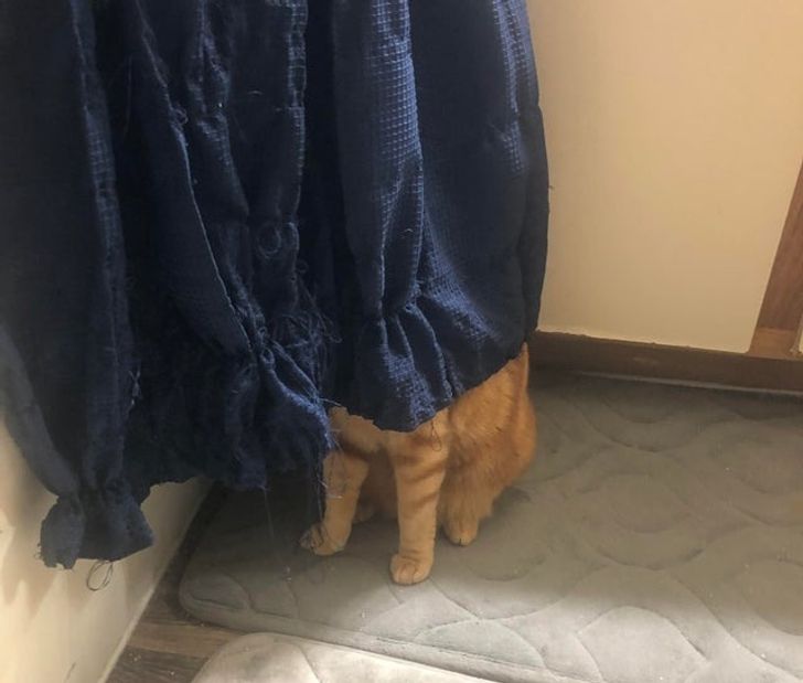 3cc03f5672a68b67e8abff2726