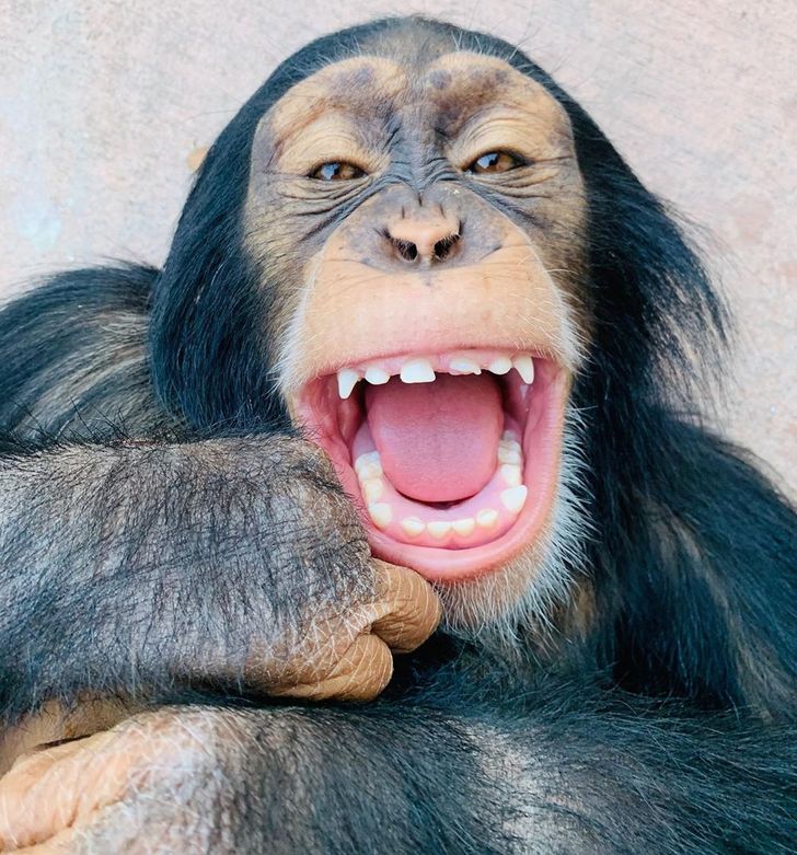 3cc56f5c9b9cf74338817185f7