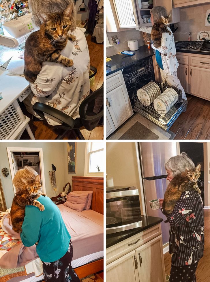 3ccaa9596f98aa8fb54bb2a9b3